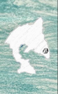 The white outline fish